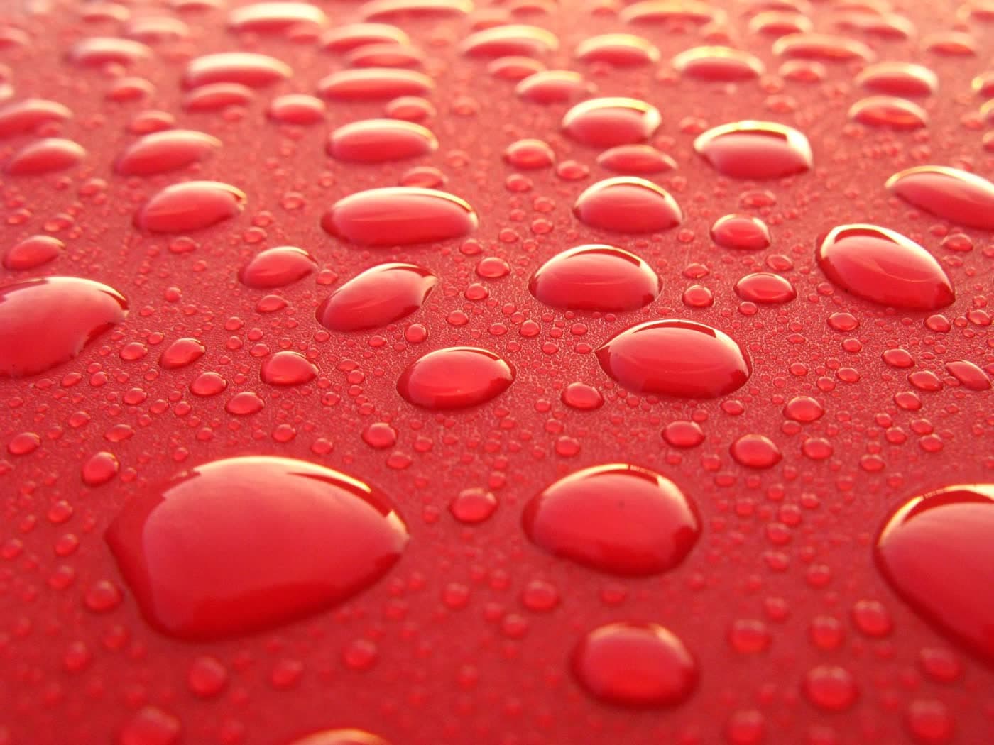 How Much Does Ceramic Coating Cost in Toronto? (2026 Pricing Guide)